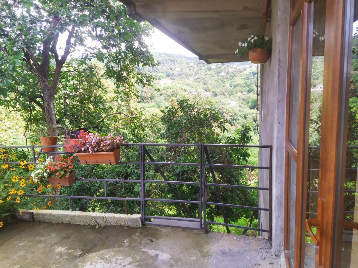 53 Jincharadze Street Makhinjauri, Batumi 빌라 외부 사진